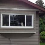 New Vinyl Siding and Windows for the Scotts