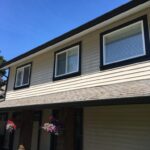 Vinyl siding and windows