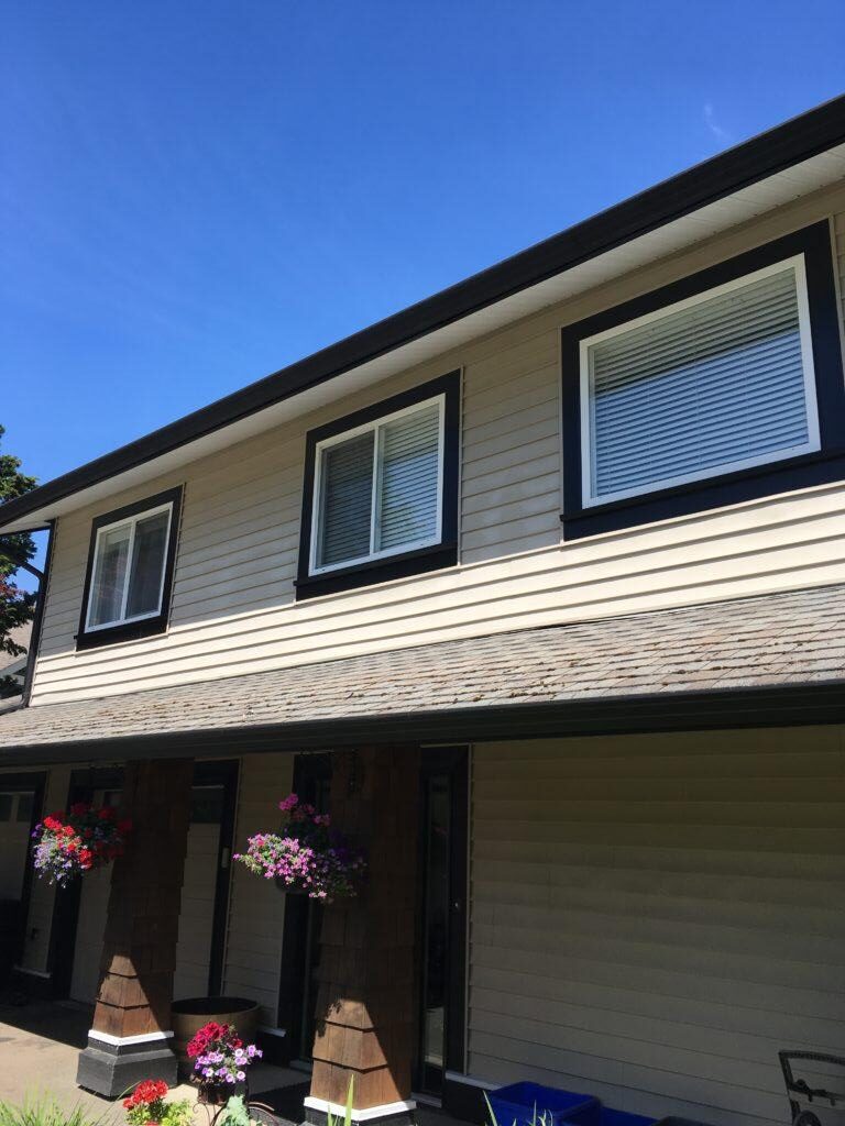 Vinyl siding and windows