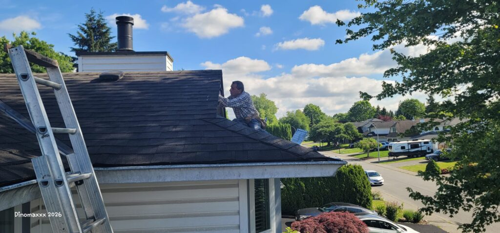 Stefan working on soffit repair for soffits damaged by nesting birds.