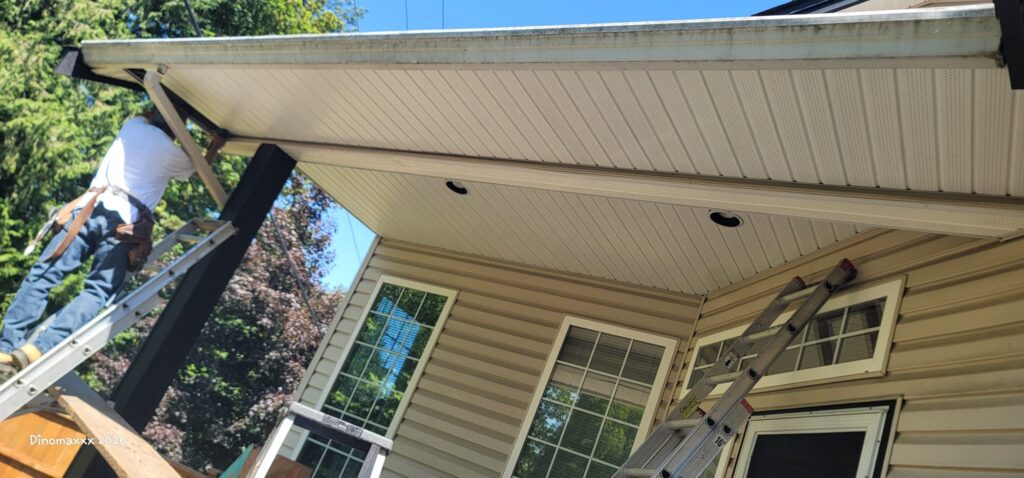 Stefan working on soffit repair for soffits damaged by nesting birds.