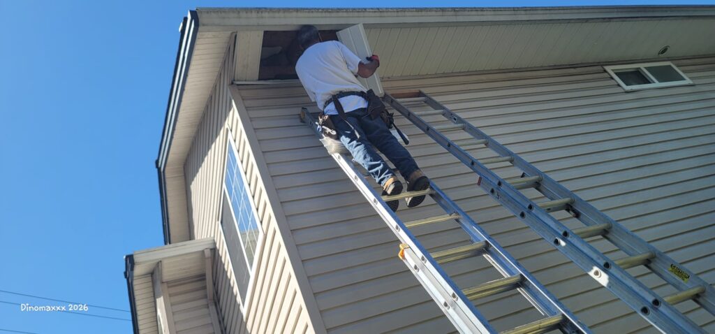 Stefan working on soffit repair for soffits damaged by nesting birds.