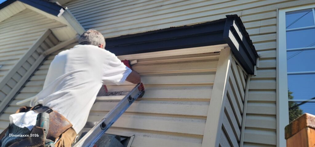 Stefan working on soffit repair for soffits damaged by nesting birds.