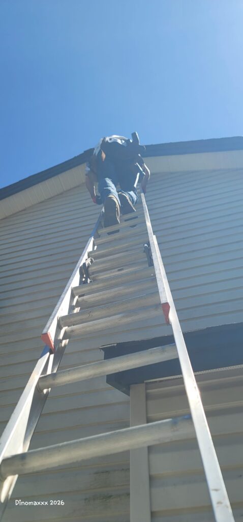 Stefan working on soffit repair for soffits damaged by nesting birds.