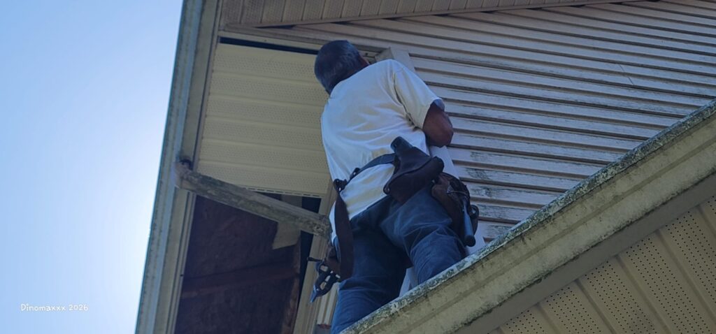 Stefan working on soffit repair for soffits damaged by nesting birds.